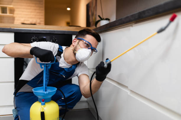 Best Residential Pest Control  in Orange Grove, TX