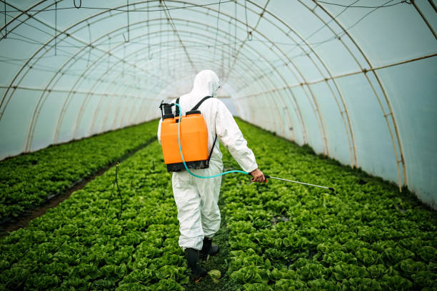 Best Ant Control Services  in Orange Grove, TX