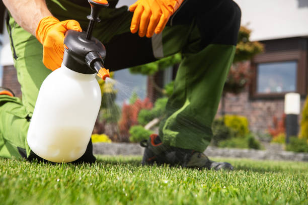 Reliable Orange Grove, TX Pest Control Solutions