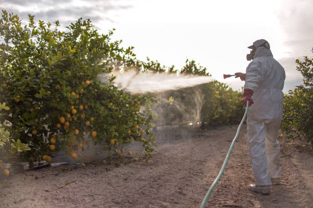 Best Wildlife Control Services  in Orange Grove, TX