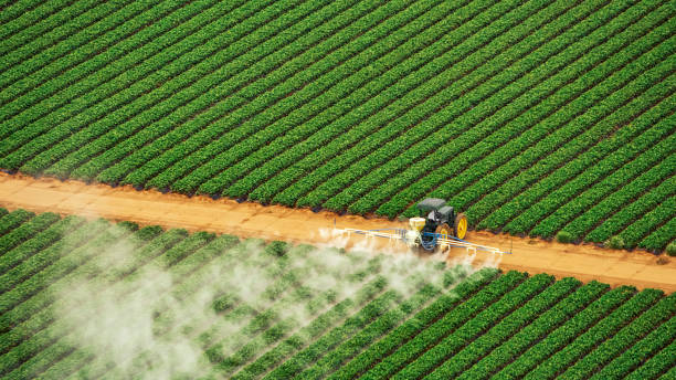 Best Local Pest Control Services  in Orange Grove, TX