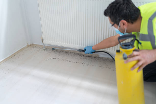 Wasp Removal Services in Orange Grove, TX