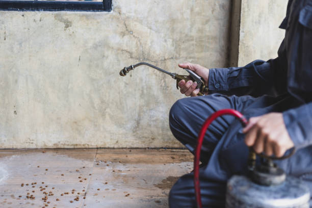 Best Residential Pest Control  in Orange Grove, TX
